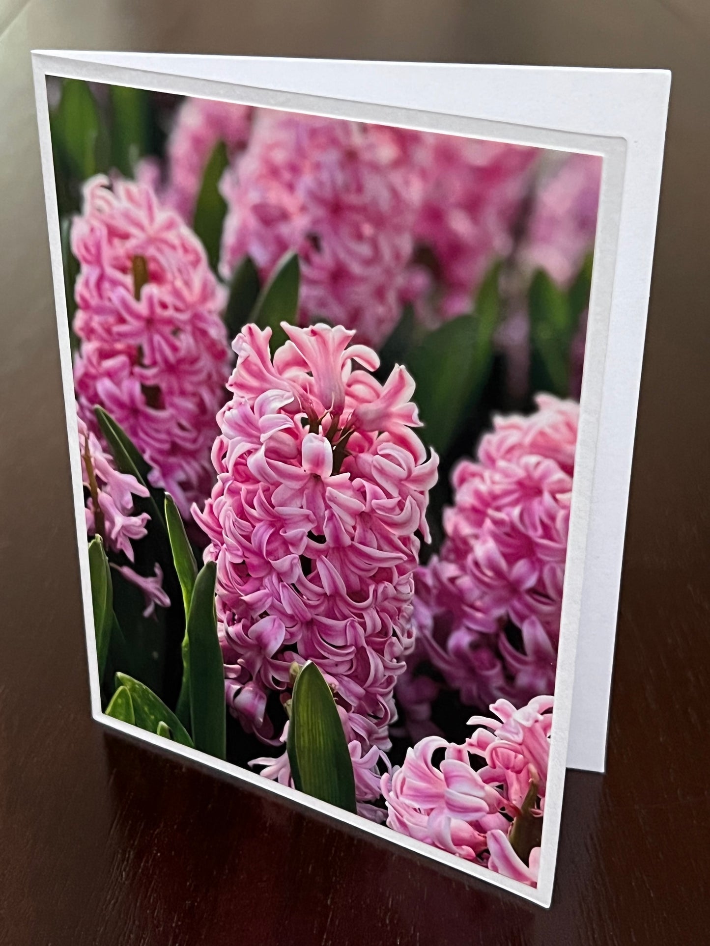 Pink Hyacinths