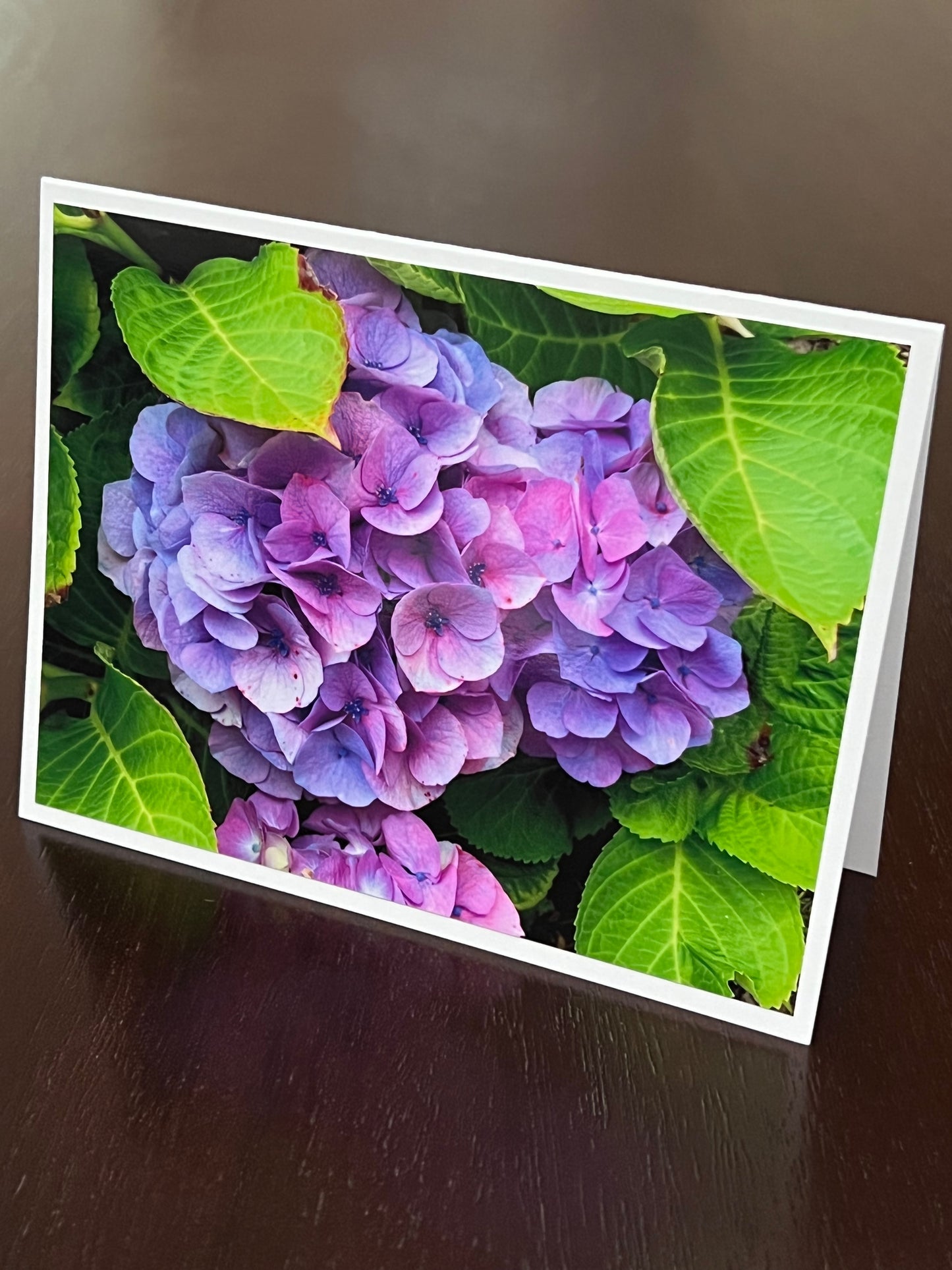 Ritz Hydrangea