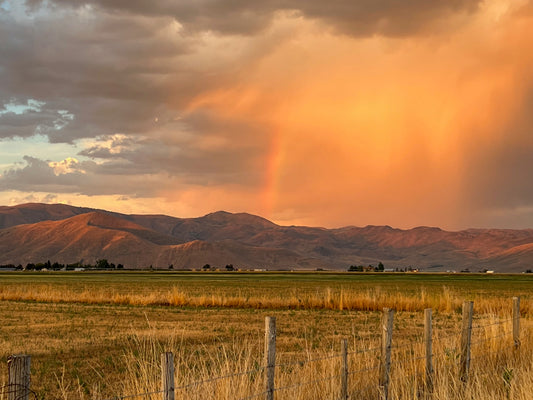 Prairie skies