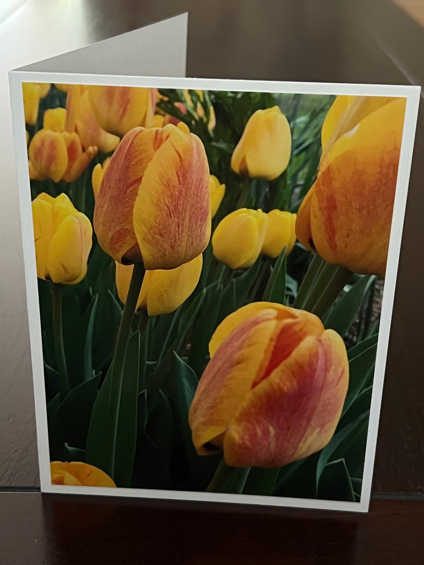 Bright yellow tulips