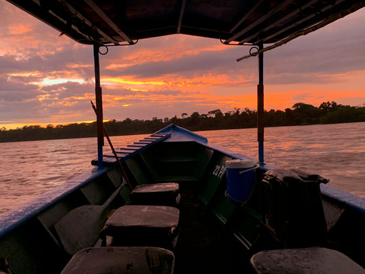 Tambopata sunrise