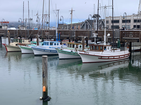 Boats in the wharf