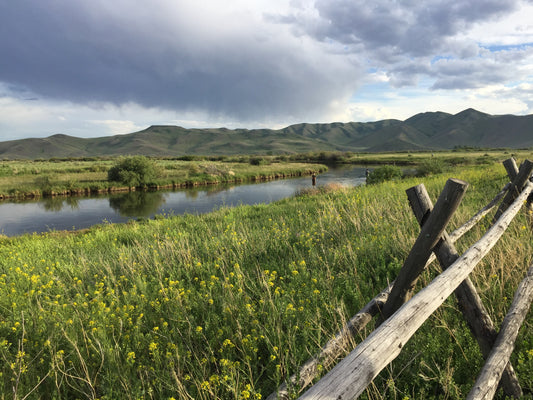 Fly fishing at Silver Creek 2