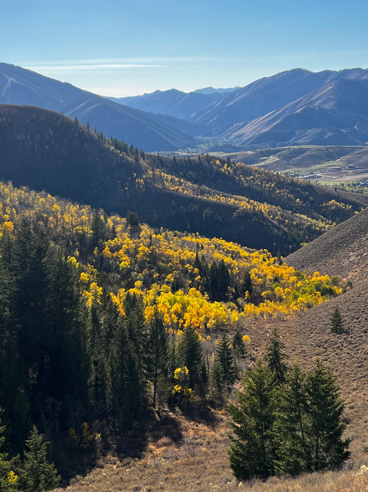 Fall view from Proctor