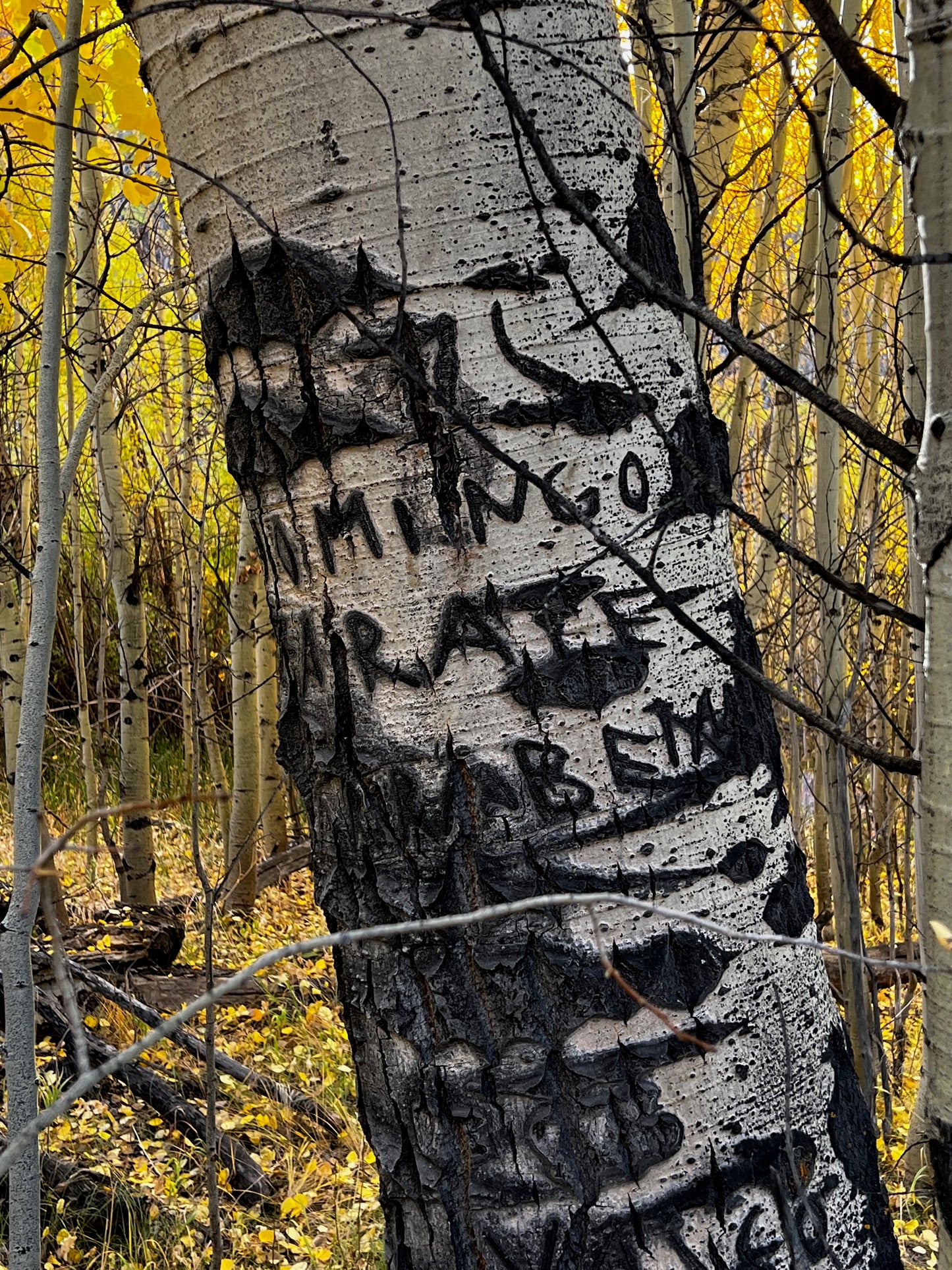 Aspen message