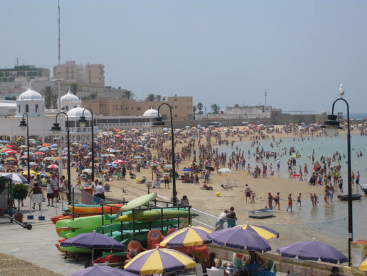 Day at the beach